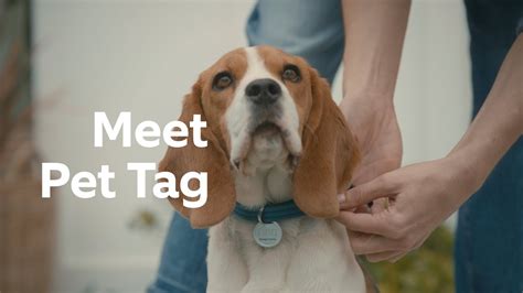 ring pet tag smb|find my pet tag.